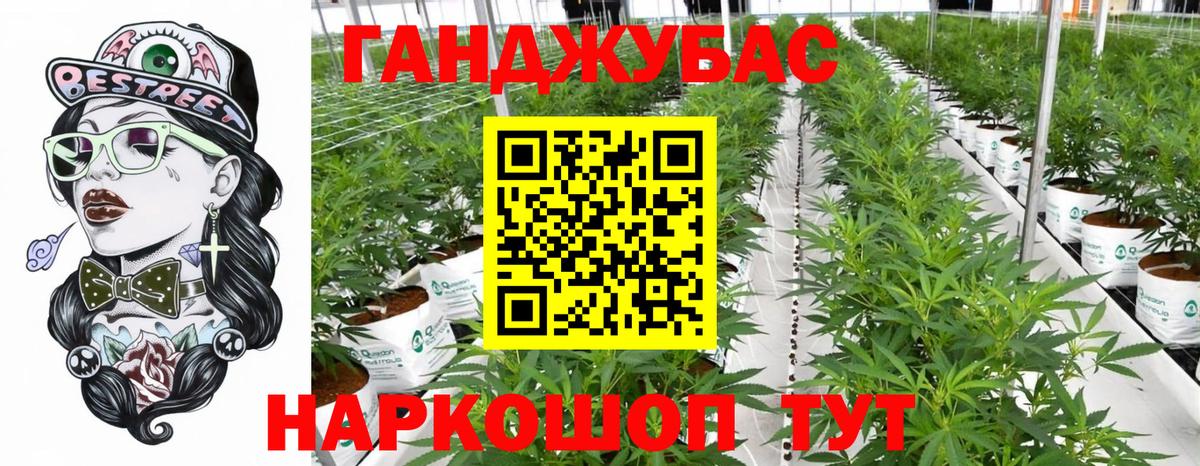 Шишки марихуана марихуана Апатиты